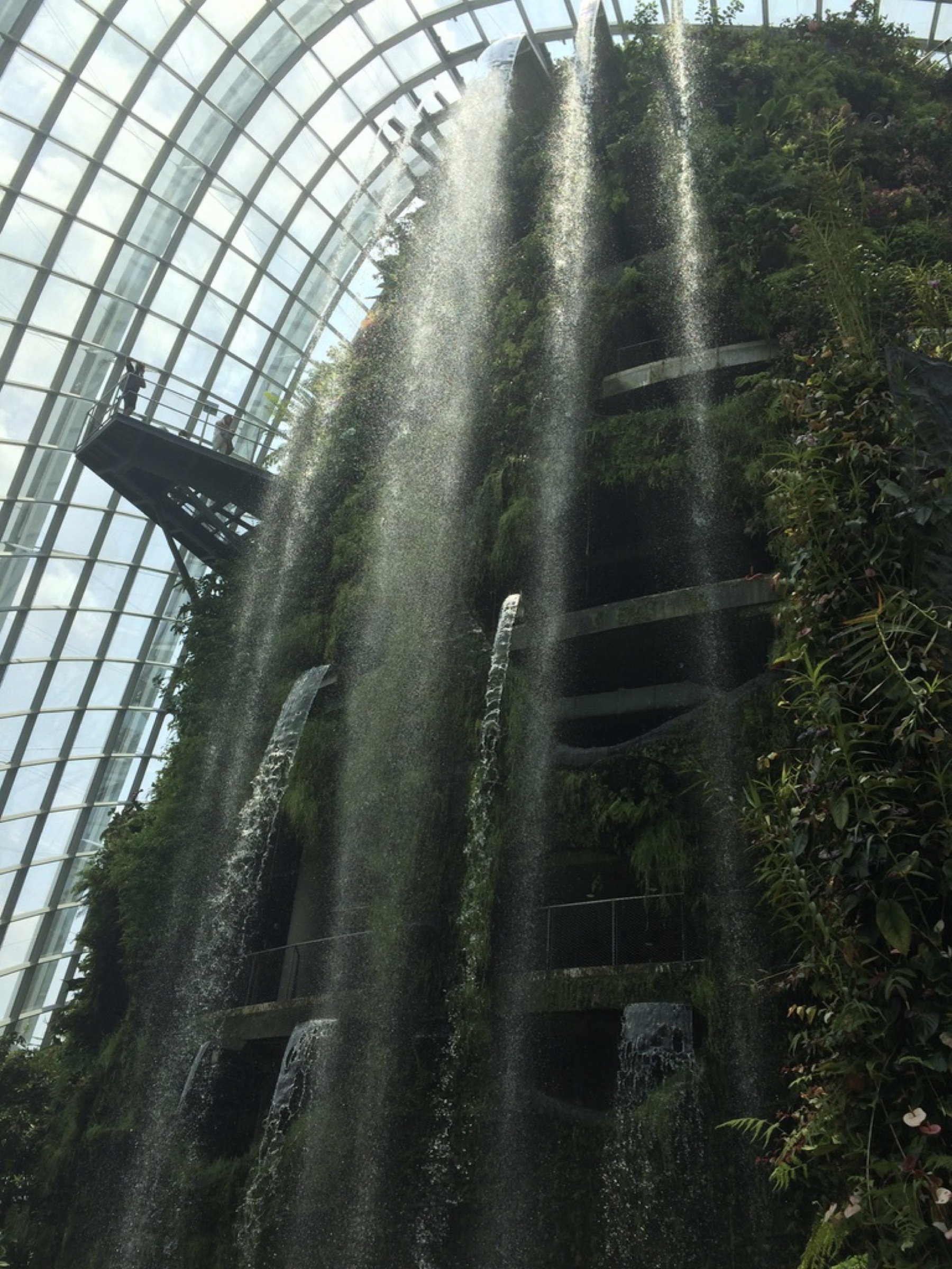 Waterfall and living wall inside the Cloud Forest conservatory